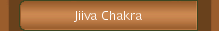 Jiiva Chakra